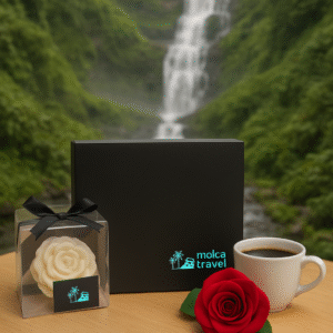 Cajas de Regalo Molca 3 Dias