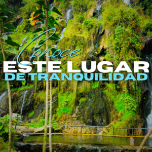 Paquete Turístico – 6 días / 5 noches en el Eje Cafetero